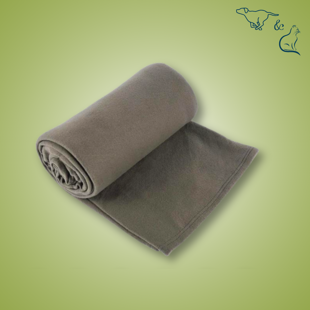 Kuschelzeit